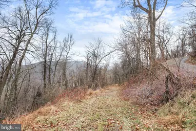 Tbd SW Slope Lane, Star Tannery, VA 22654 - Photo 5