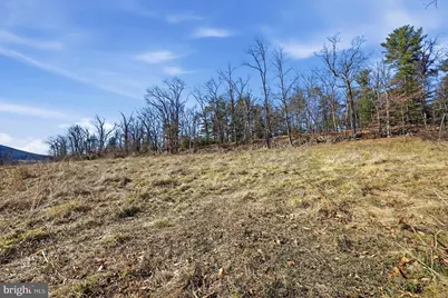 Tbd Gough Road, Winchester, VA 22602 - Photo 15