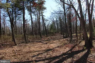 Siler Road, Winchester, VA 22603 - Photo 19