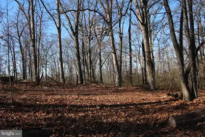 Siler Road, Winchester, VA 22603 - Photo 9