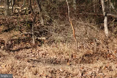 Siler Road, Winchester, VA 22603 - Photo 33