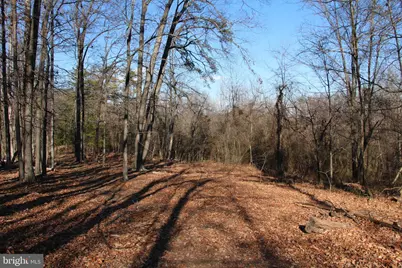 Siler Road, Winchester, VA 22603 - Photo 21