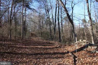 Siler Road, Winchester, VA 22603 - Photo 7