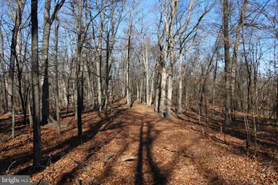 Siler Road, Winchester, VA 22603 - Photo 15