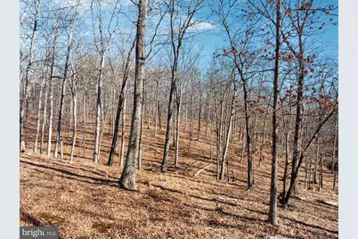 1990 Collinsville Road, Cross Junction, VA 22625 - Photo 5