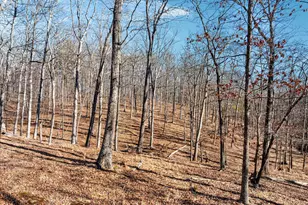 1990 Collinsville Rd, Cross Junction, VA 22625 - Photo 5