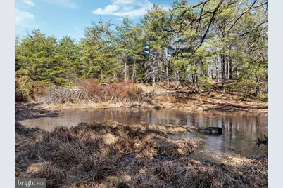 1990 Collinsville Road, Cross Junction, VA 22625 - Photo 3