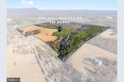 1990 Collinsville Road, Cross Junction, VA 22625 - Photo 1