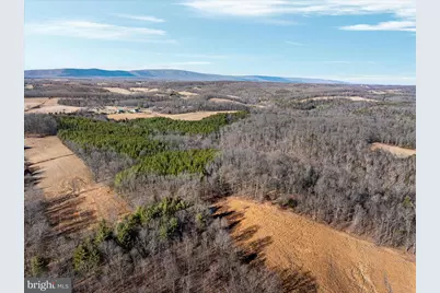 1990 Collinsville Road, Cross Junction, VA 22625 - Photo 13