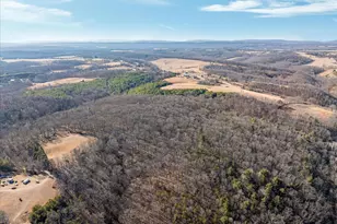 1990 Collinsville Rd, Cross Junction, VA 22625 - Photo 11