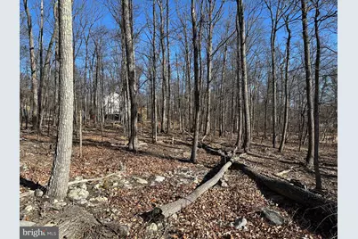 Lot 2 Tonto Trail, Winchester, VA 22602 - Photo 3