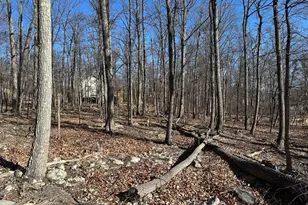 Lot 2 Tonto Trail, Winchester, VA 22602 - Photo 3