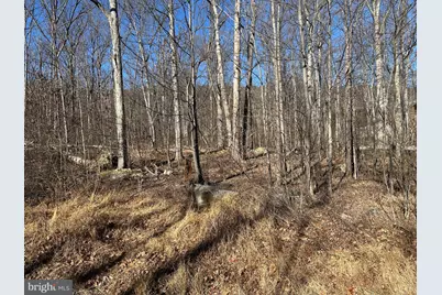 Lot 33 Falcon Trail, Winchester, VA 22602 - Photo 5