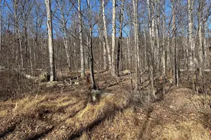 Lot 33 Falcon Trail, Winchester, VA 22602 - Photo 5