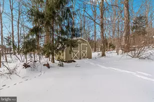 227 Dutch Apple Dr, Winchester, VA 22602 - Photo 43