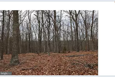 00 Sweetbriar Lane, Winchester, VA 22603 - Photo 9