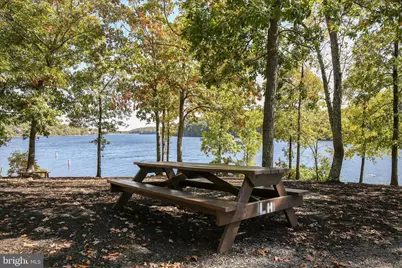 241 Sunset Circle, Cross Junction, VA 22625 - Photo 73