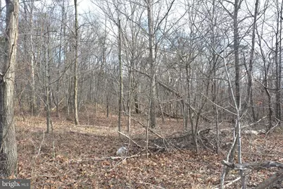 N Timber Ridge Rd #LOT 1 (54), Cross Junction, VA 22625 - Photo 3