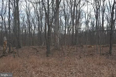 N Timber Ridge Rd #LOT 2 (54A), Cross Junction, VA 22625 - Photo 5
