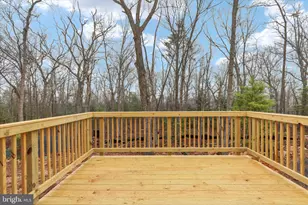 Bushy Ridge - Lot 15 Dr, Star Tannery, VA 22654 - Photo 13