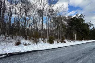 0 Hollow Rd, Gore, VA 22637 - Photo 1