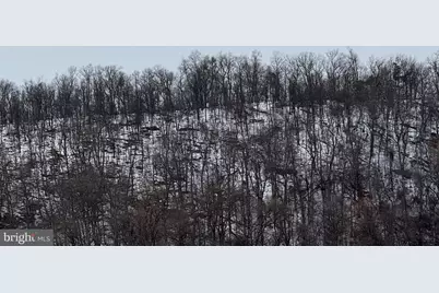 15.63 Acres, 52-2-B, Winchester, VA 22603 - Photo 7