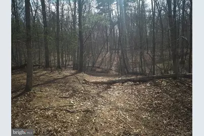 Lot 17 Hodges Lane, Winchester, VA 22603 - Photo 21