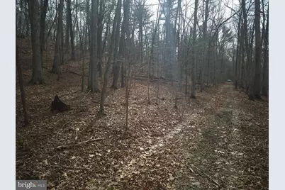 Lot 17 Hodges Lane, Winchester, VA 22603 - Photo 23