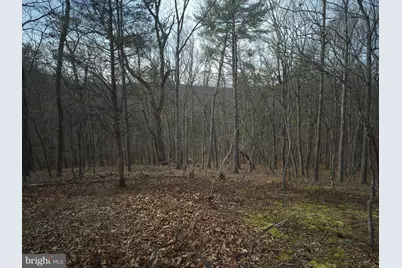 Lot 17 Hodges Lane, Winchester, VA 22603 - Photo 17