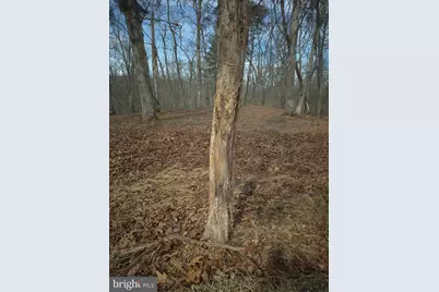 Lot 17 Hodges Lane, Winchester, VA 22603 - Photo 15