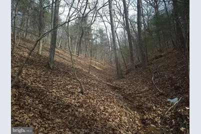 Lot 17 Hodges Lane, Winchester, VA 22603 - Photo 5