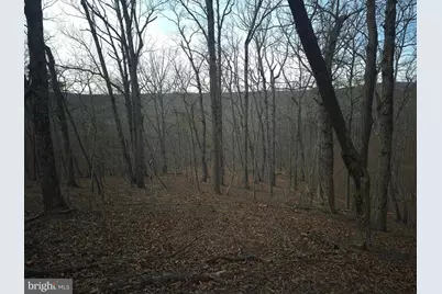 Lot 16 Hodges Lane, Winchester, VA 22603 - Photo 15