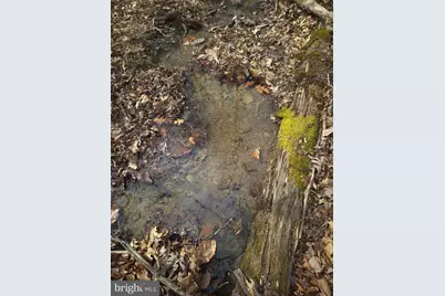 Lot 16 Hodges Lane, Winchester, VA 22603 - Photo 5