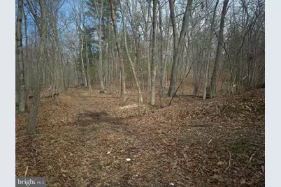 Lot 16 Hodges Lane, Winchester, VA 22603 - Photo 17