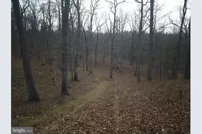 Lot 16 Hodges Lane, Winchester, VA 22603 - Photo 9