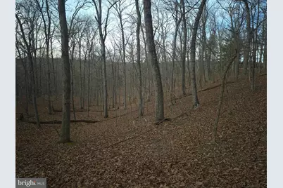 Lot 16 Hodges Lane, Winchester, VA 22603 - Photo 13