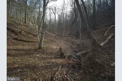 196 Hodges Lane, Winchester, VA 22603 - Photo 11