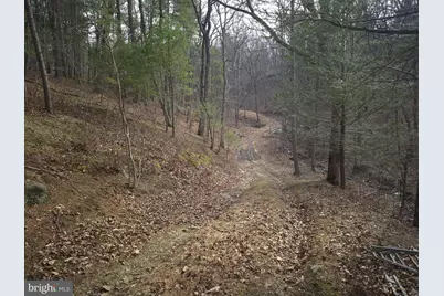 196 Hodges Lane, Winchester, VA 22603 - Photo 7