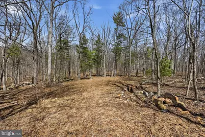 128 Charmwood Lane, Winchester, VA 22602 - Photo 49