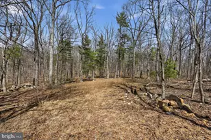 128 Charmwood Ln, Winchester, VA 22602 - Photo 49