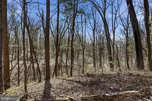 128 Charmwood Ln, Winchester, VA 22602 - Photo 45