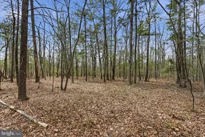 5.35 Ac # 16 B- Back Mountain Rd, Winchester, VA 22602 - Photo 3