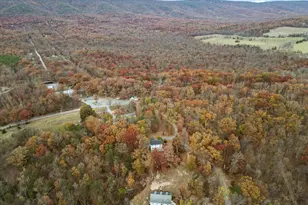 4403 Back Mountain Rd, Winchester, VA 22602 - Photo 43