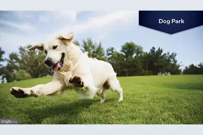 109 Manasquan Way, Winchester, VA 22602 - Photo 49