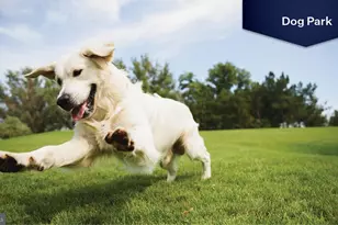 109 Manasquan Wy, Winchester, VA 22602 - Photo 49