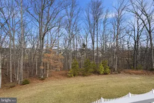105 Turnstone Ln, Lake Frederick, VA 22630 - Photo 45