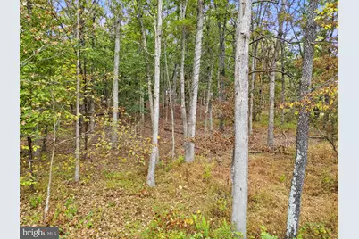 Lot 24L Bloomery Pike, Cross Junction, VA 22625 - Photo 15