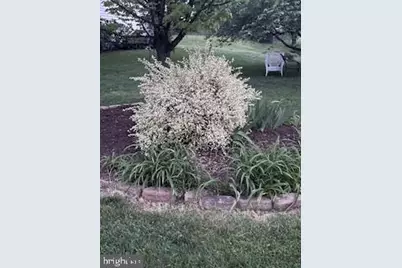 119 Foxglove Drive, Winchester, VA 22602 - Photo 65