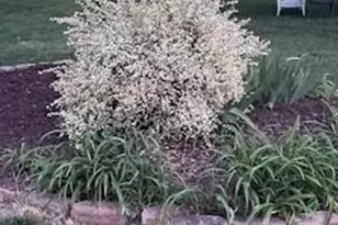 119 Foxglove Dr, Winchester, VA 22602 - Photo 65