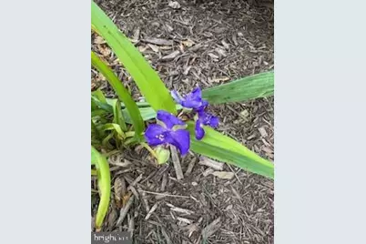 119 Foxglove Drive, Winchester, VA 22602 - Photo 77